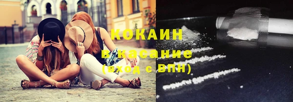шишки Балабаново