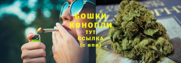шишки Балабаново