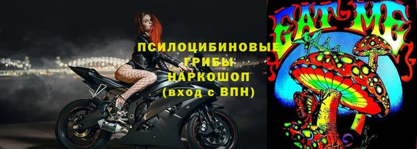 шишки Балабаново