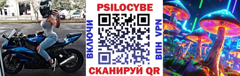 закладка Семилуки Псилоцибиновые грибы GOLDEN TEACHER